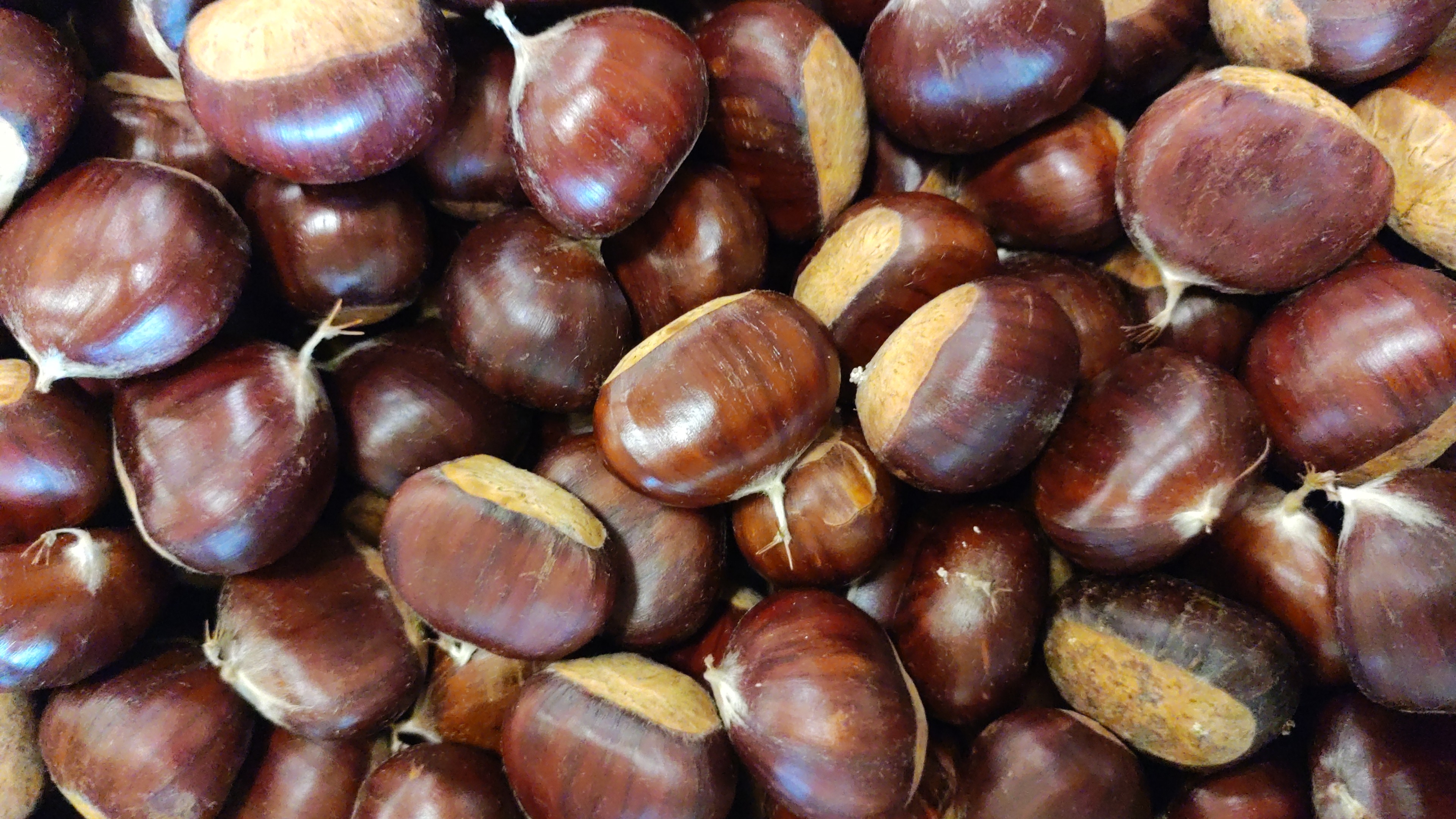 Castagne 